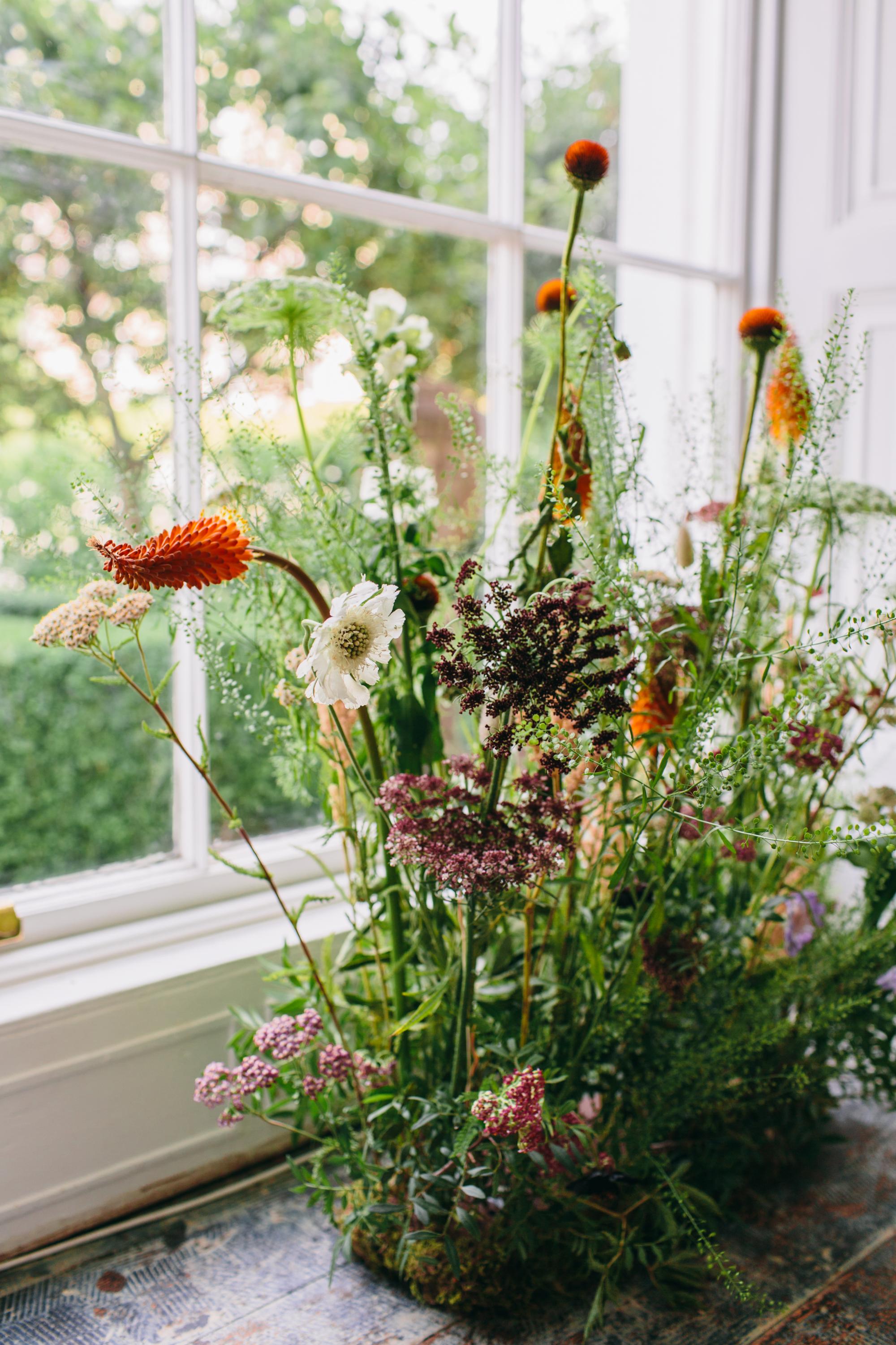 flower meadow in front of a window