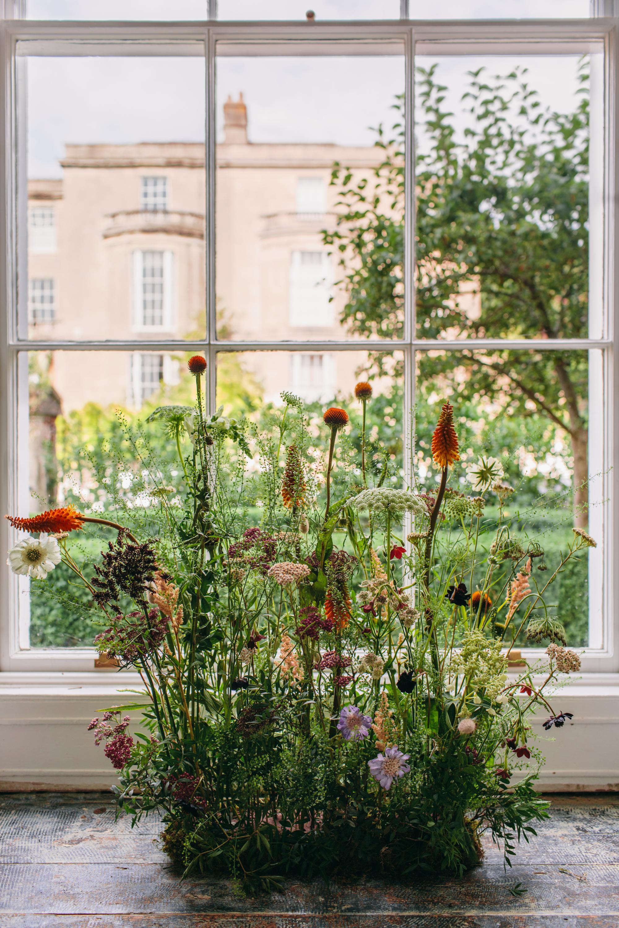 flower meadow in front of a meadow