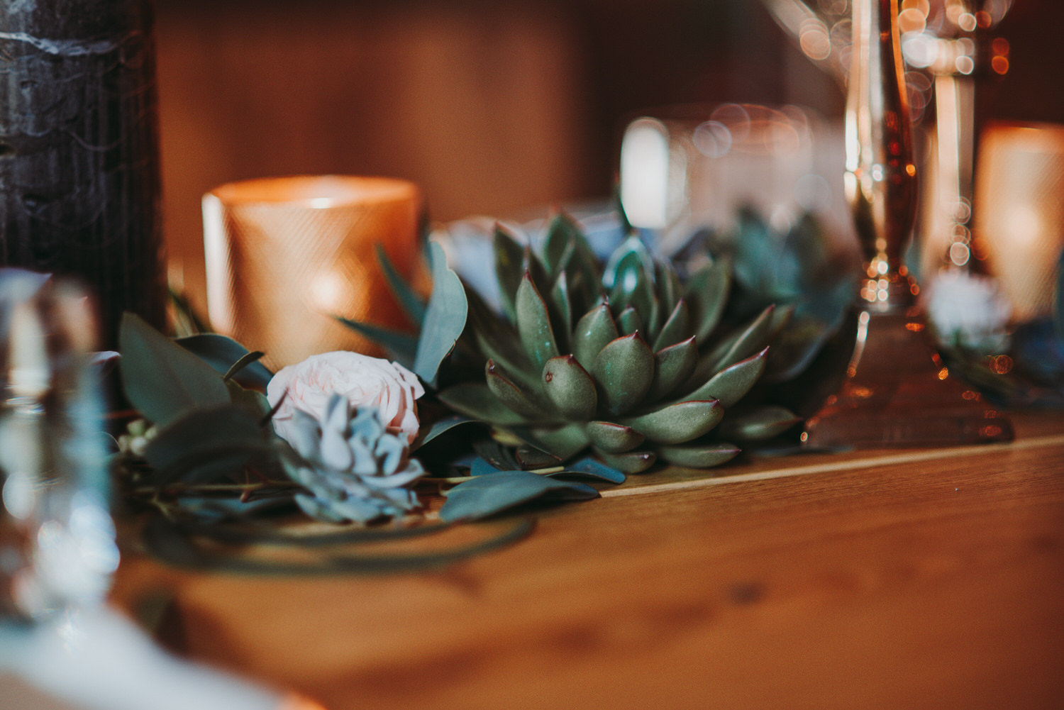 succulent plants and candles